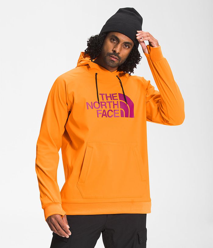 The North Face Mens Hoodie Tekno Logo 072CYAUFT - Orange